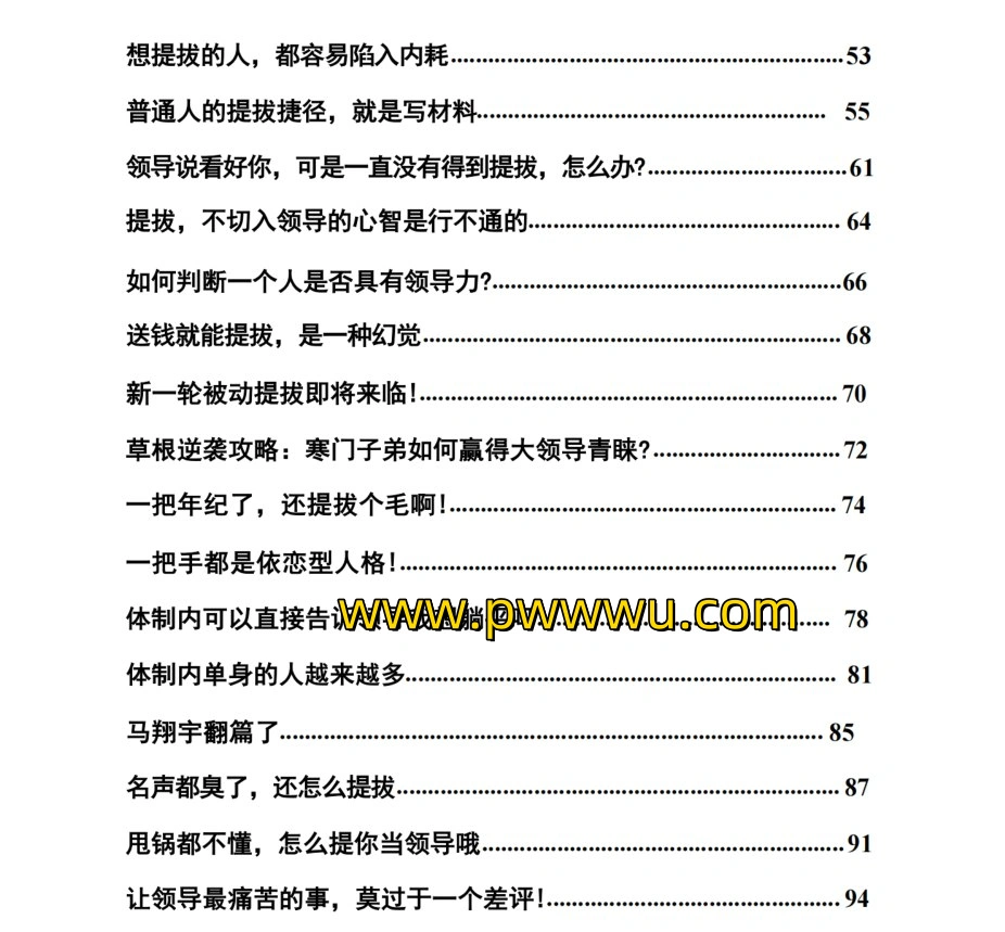 《体制内提拔真相》:普通人也能逆袭上位的实战指南最新分享