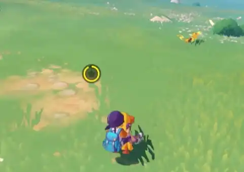 洛克王国手游平民怎么玩,洛克王国世界平民攻略