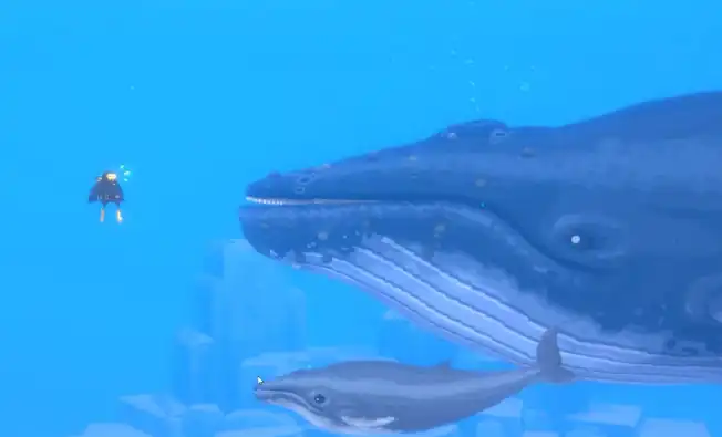 潜水员戴夫小鲸鱼在哪-潜水员戴夫小鲸鱼怎么找-泡玩网