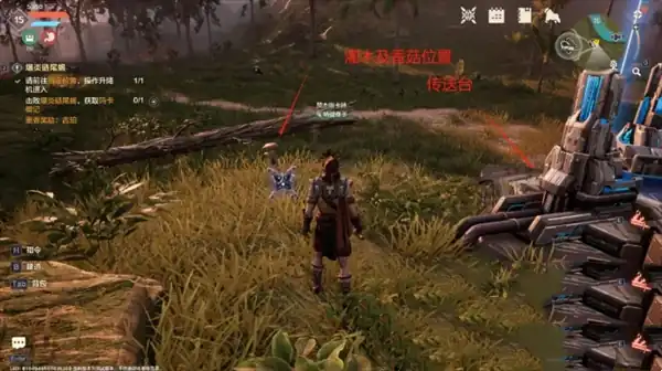 荒野起源香菇怎么获得-荒野起源香菇获取攻略-泡玩网