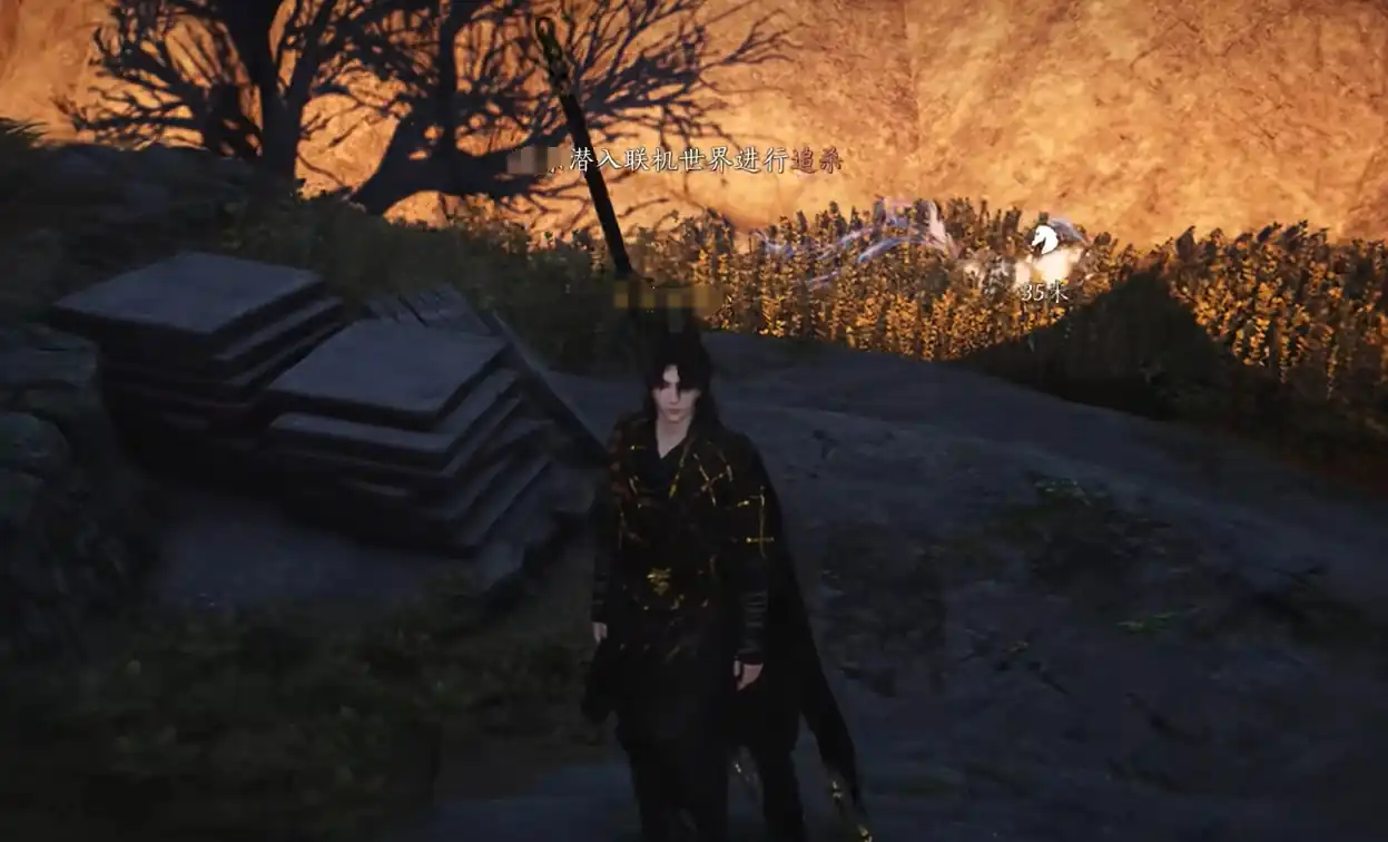 燕云十六声强制入侵玩法详解-燕云十六声入侵玩法怎么玩-泡玩网