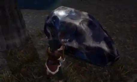 荒原曙光隐藏宝藏在哪,荒原曙光隐藏宝藏位置一览