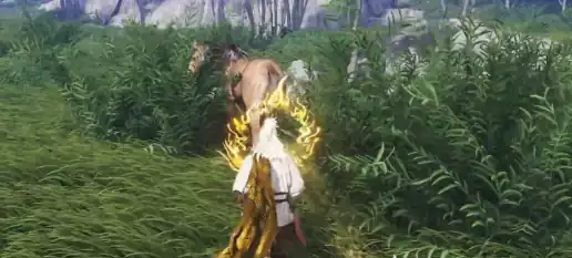 燕云十六声秦马如何抓捕-燕云十六声秦马抓捕方式-泡玩网