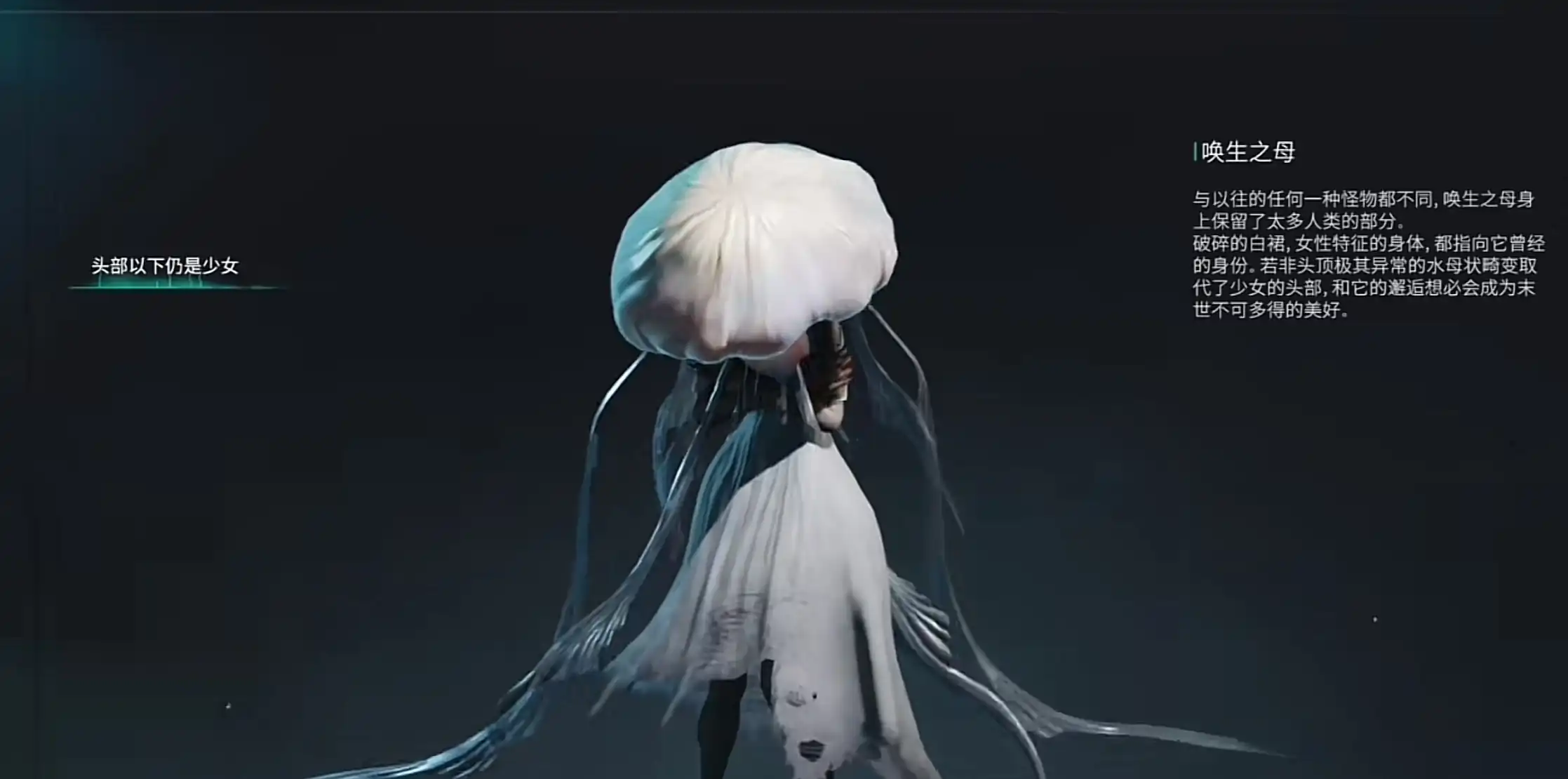 七日世界水母怪在哪里-七日世界水母怪位置介绍-泡玩网