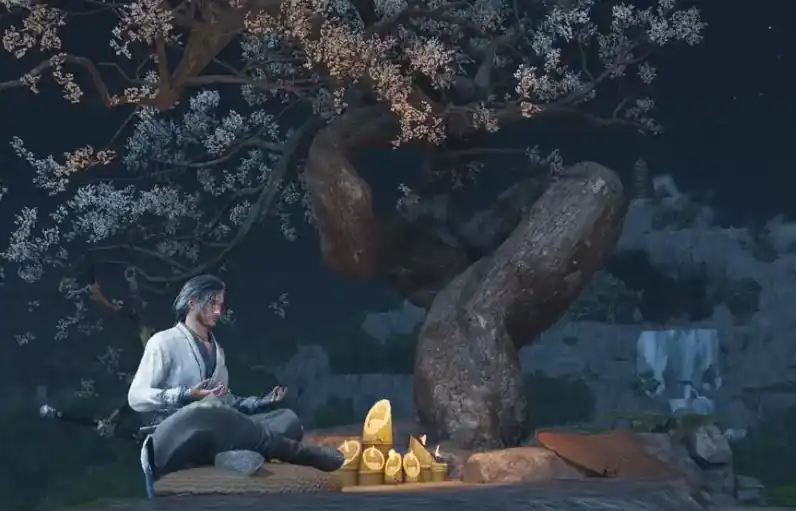 燕云十六声是网游还是单机-燕云十六声是网游吗-泡玩网