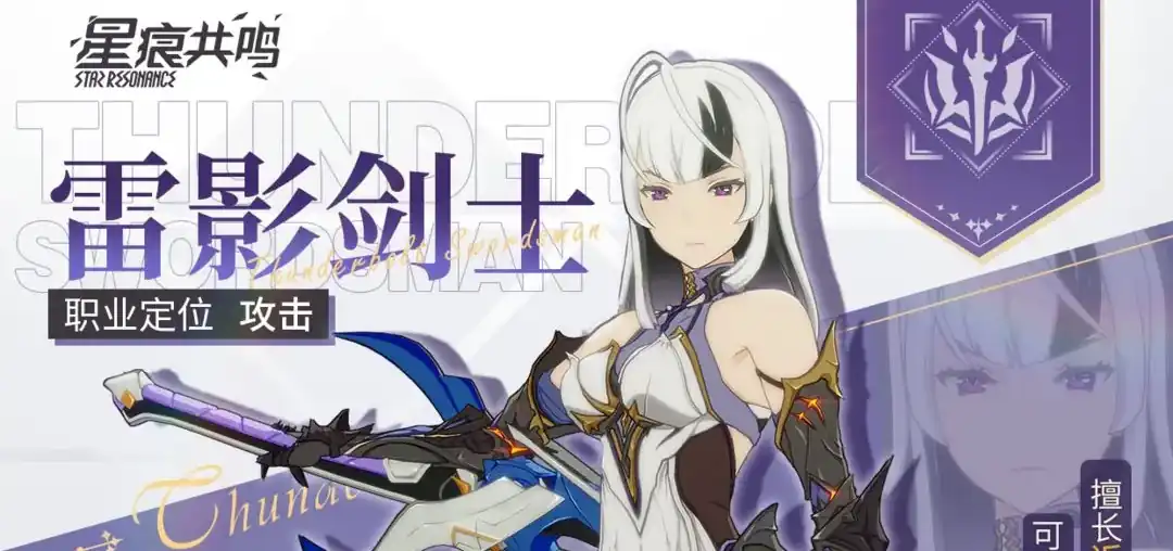 星痕共鸣雷影剑士详解-星痕共鸣雷影剑士技能效果分析-泡玩网