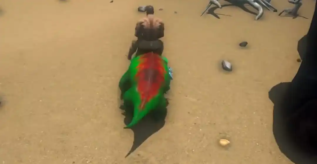 方舟终极移动版孤岛怎么玩,方舟生存进化手游孤岛地图玩法介绍