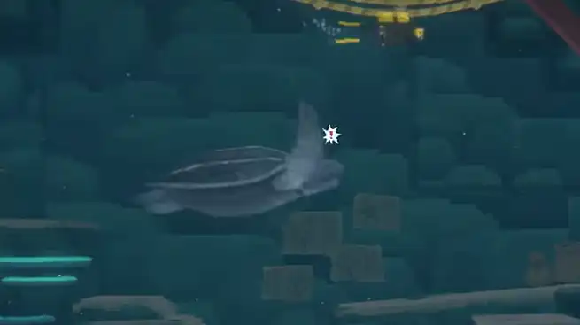 潜水员戴夫宠物龟名字介绍-潜水员戴夫手机版宠物龟名字是什么-泡玩网