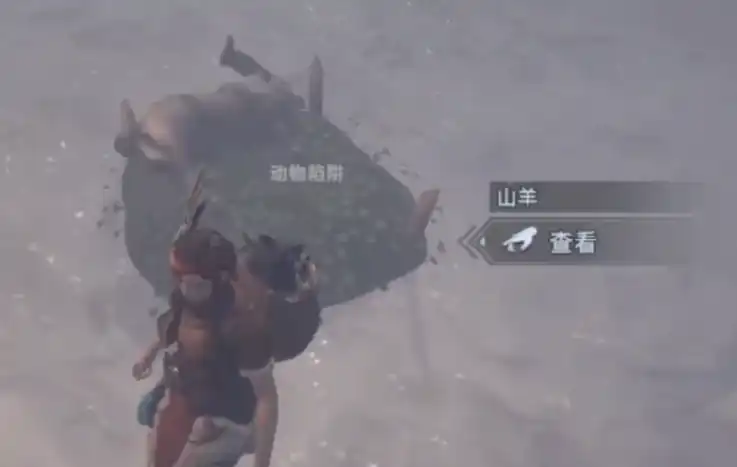 荒原曙光雪山抓羊怎么抓,荒原曙光雪山抓羊攻略