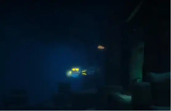 潜水员戴夫串状珊瑚在哪里 潜水员戴夫串状珊瑚位置解析-泡玩网