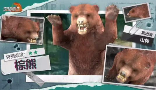 逆境重生棕熊出没范围-逆境重生棕熊作用分享-泡玩网