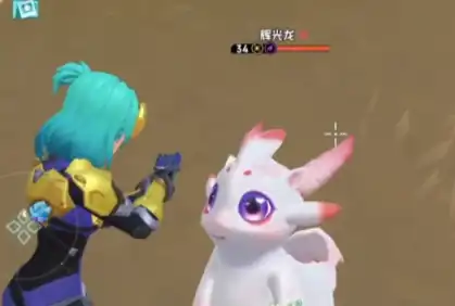 酷比大陆ssr宠物有哪些,酷比大陆ssr宠物介绍