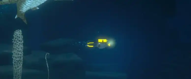 潜水员戴夫gyao怎么培养-潜水员戴夫手游gyao培养经验分享-泡玩网