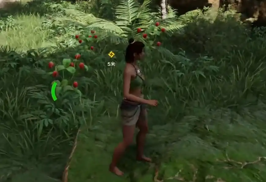 荒野起源试玩介绍-荒野起源游戏好玩吗-泡玩网