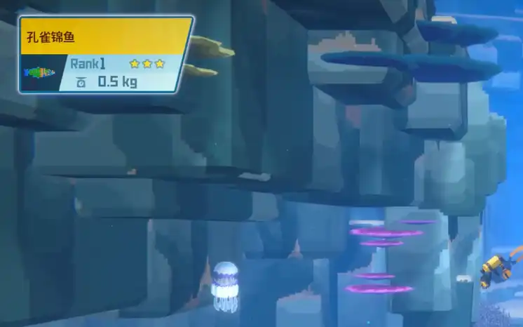 潜水员戴夫孔雀锦鱼寻找攻略-潜水员戴夫手机版孔雀锦鱼怎么找-泡玩网