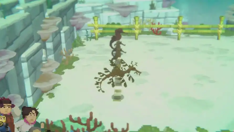 潜水员戴夫海马怎么捉-潜水员戴夫捕捉海马攻略-泡玩网