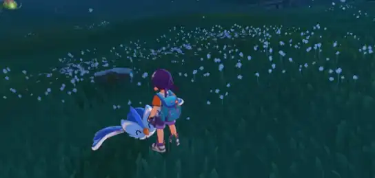 洛克王国手游收集装备攻略 洛克王国世界怎么收集装备