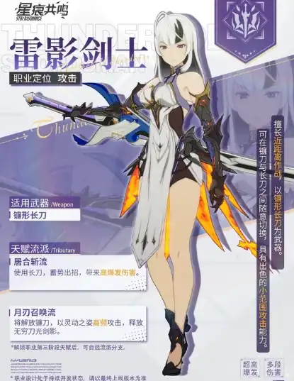 星痕共鸣职业系统介绍-星痕共鸣职业有哪些-泡玩网