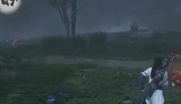 燕云十六声红花怎么获得-燕云十六声红花介绍-泡玩网