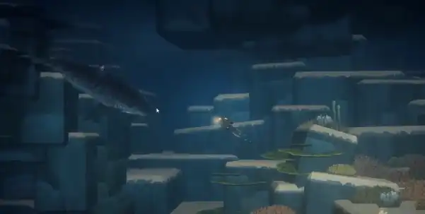 潜水员戴夫虎鲨在哪-潜水员戴夫手游虎鲨所在位置分析-泡玩网