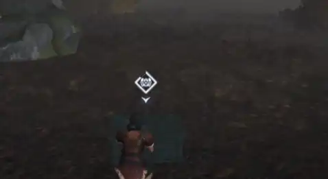 荒原曙光隐藏宝藏在哪,荒原曙光隐藏宝藏位置一览