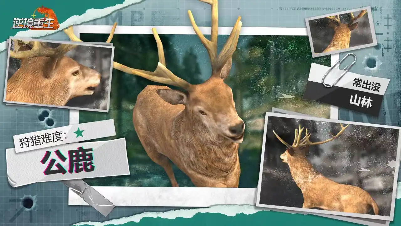 逆境重生动物有哪些-逆境重生动物种类介绍-泡玩网