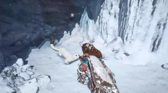 荒野起源怎么报名测试-荒野起源测试报名流程分享-泡玩网