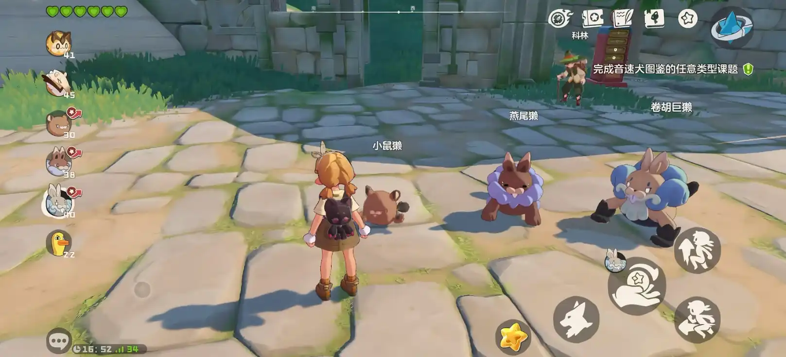 洛克王国手游卷胡巨獭怎么样-洛克王国世界卷胡巨獭强度评测-泡玩网