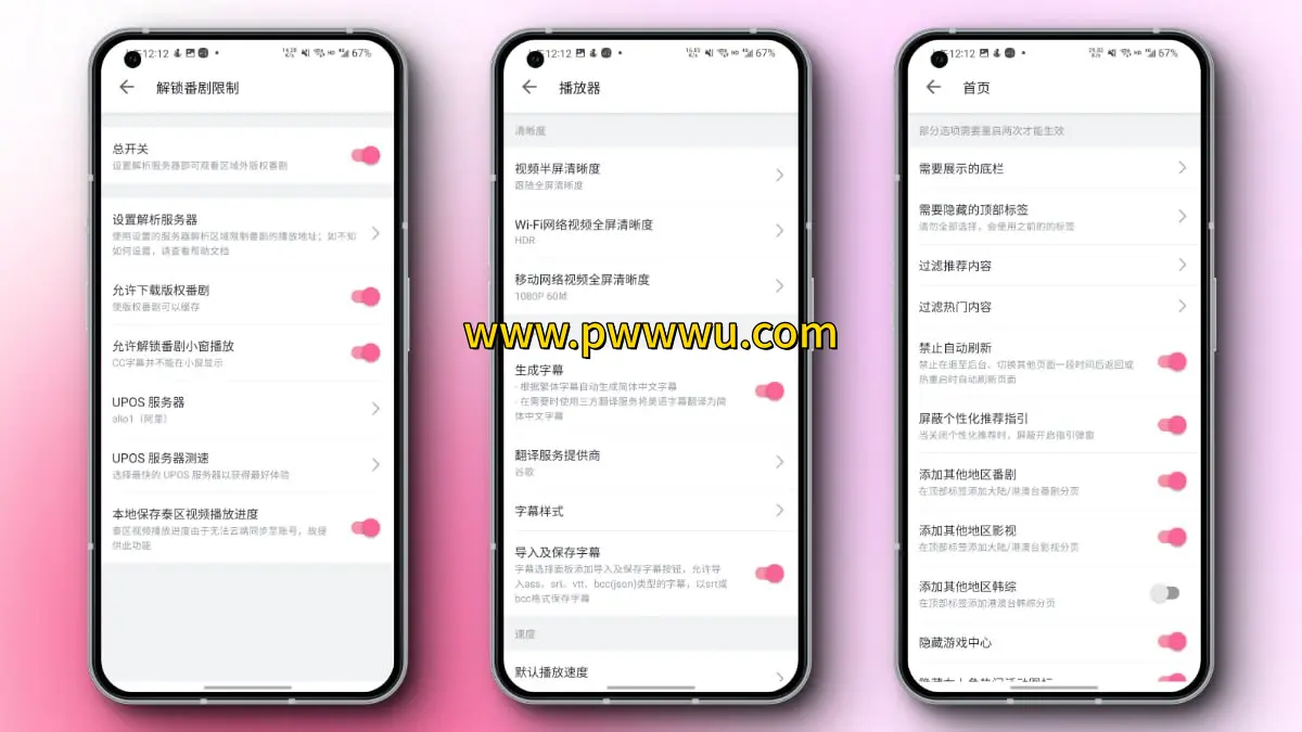 哔哩漫游X开源插件解锁B站客户端自定义功能-泡玩网