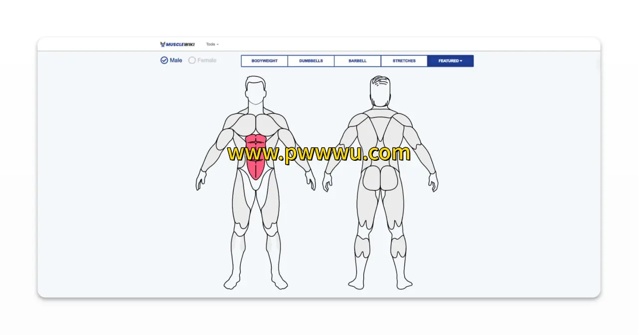 肌肉wiki健身训练指南 肌肉锻炼图解与营养计算教程