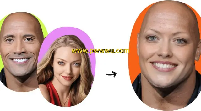 AI换脸开源项目Roop离线版下载 PC与Mac一键使用教程-泡玩网