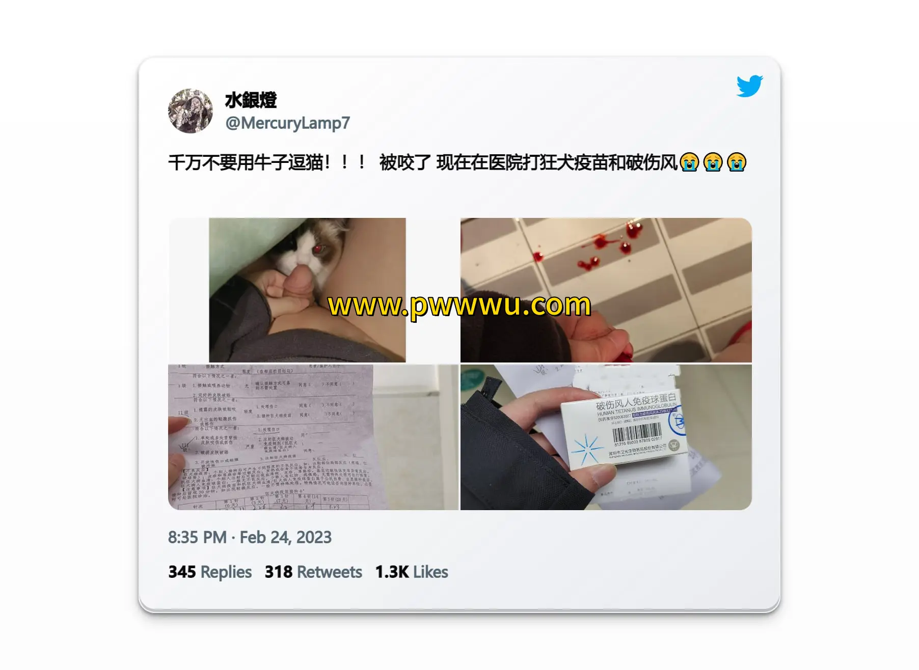 水银灯分享图书文件内容总结