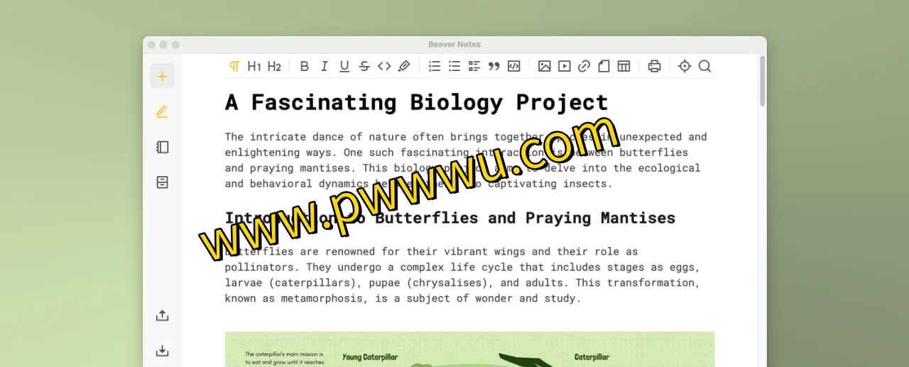 Beaver Notes：隐私至上的跨平台Markdown笔记应用，本地存储更安全-泡玩网