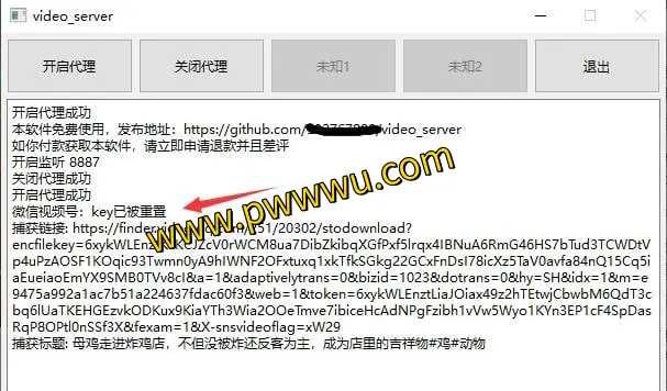 轻松下载视频号内容：Video_Server工具使用指南-泡玩网