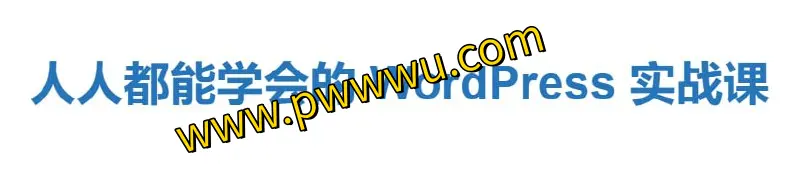 WordPress实战课程:入门到精通,探索内容管理的无限可能-泡玩网