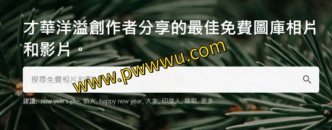 Pexels - 高清免费图片下载资源，无需登录直接获取-泡玩网