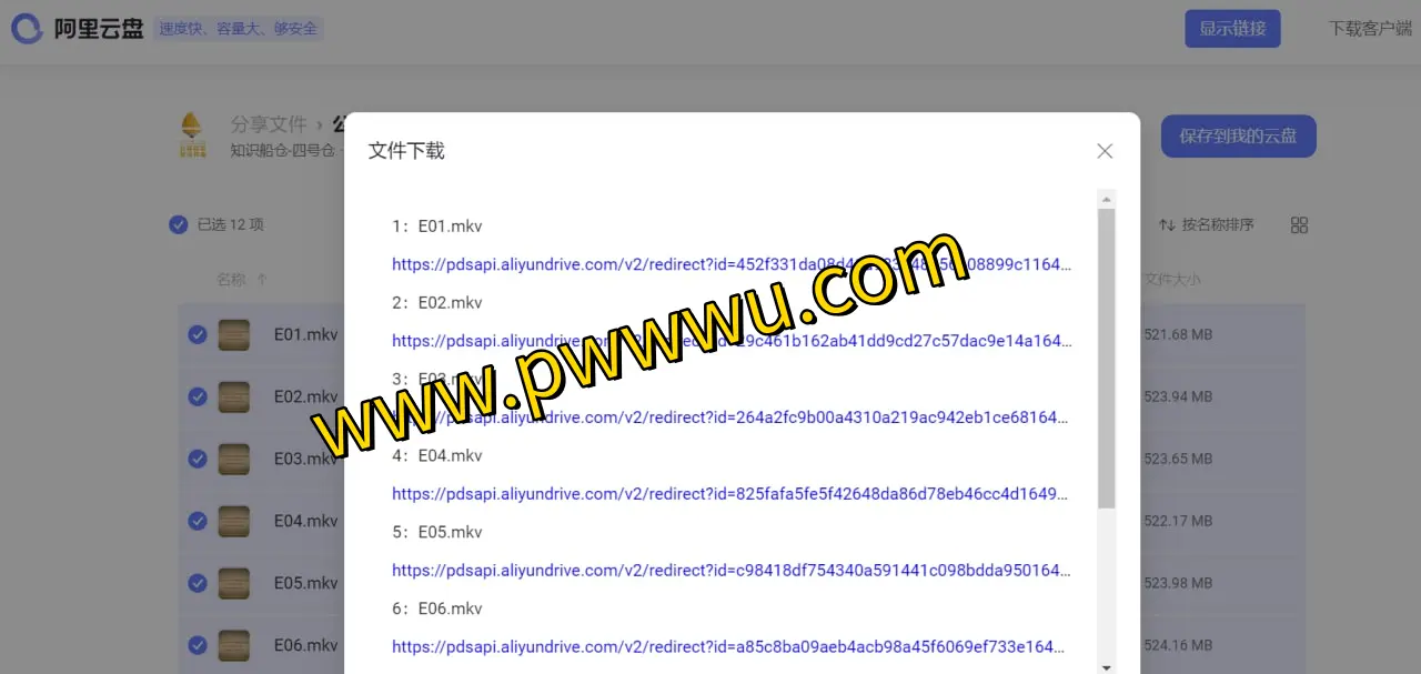 阿里云盘直链提取神器:突破限制,高速下载,支持自定义密码与DPlayer播放