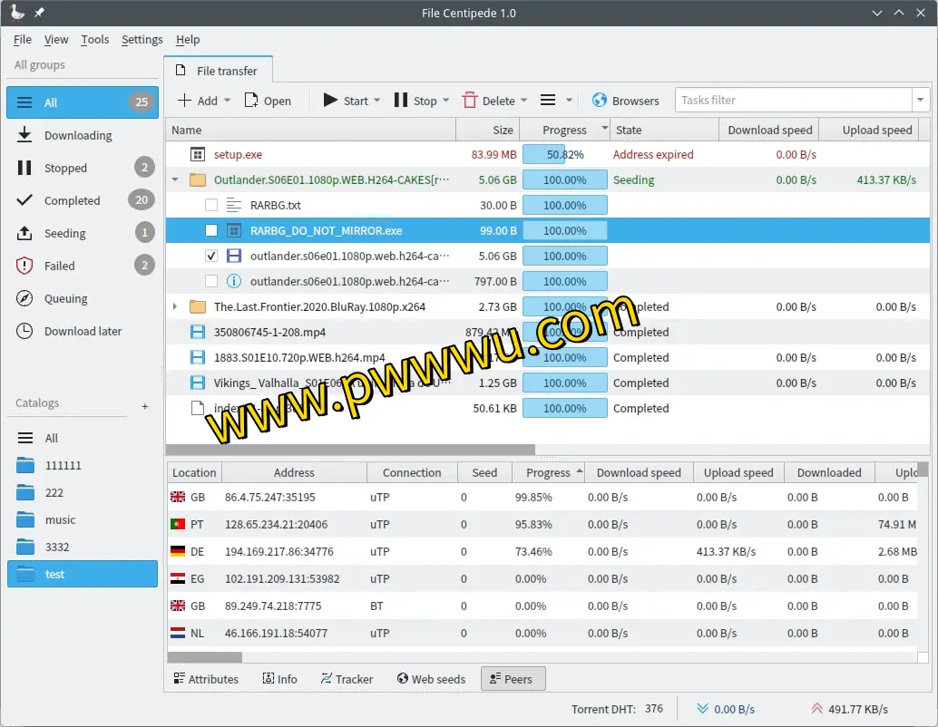 多协议支持下载利器：文件蜈蚣，跨平台应用助力高效文件获取