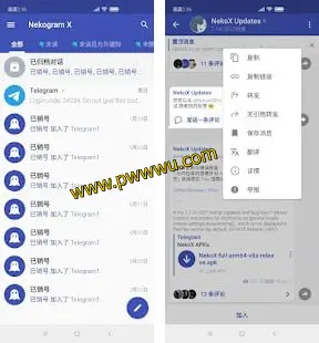 NekoX：免费开源的第三方TG客户端，功能强大，支持多账户登录与代理管理-泡玩网