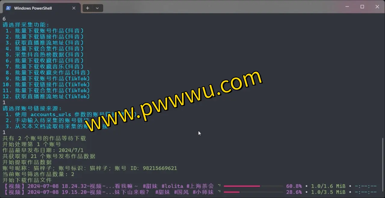 免费开源工具:TikTokDownloader 助您轻松下载无水印抖音/TikTok 视频、图集及直播内容