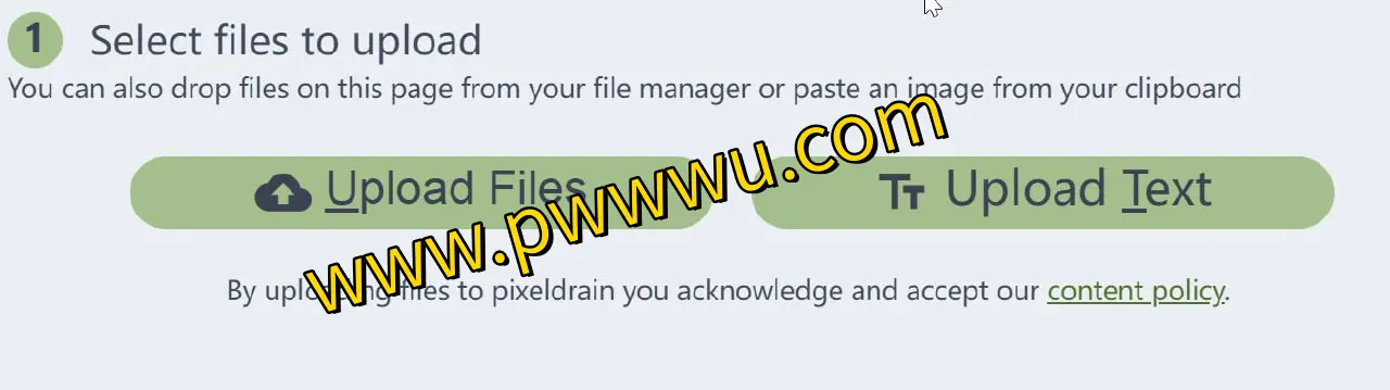 Pixeldrain:免费20G文件传输工具,轻松分享图书文件无限制