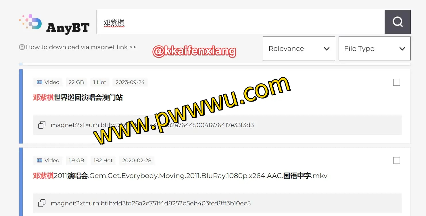 AnyBT磁力搜索:快速获取图书文件资源-泡玩网