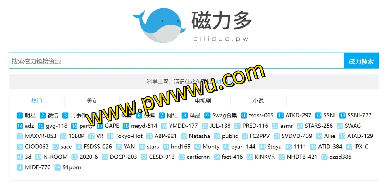 磁力多搜索引擎 - 快速找到您想要的影片、剧集、小说及更多资源-泡玩网