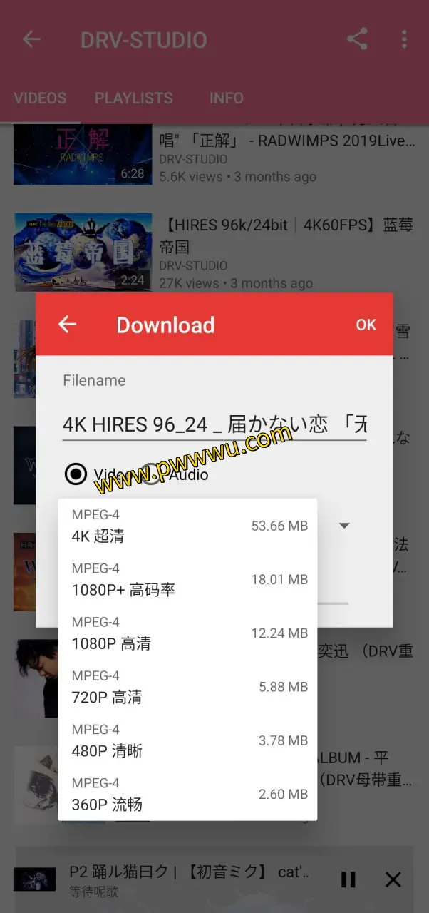 PipePipe：自由浏览YouTube、NicoNico及BiliBili的开源视频工具，支持下载与全屏手势操作-泡玩网