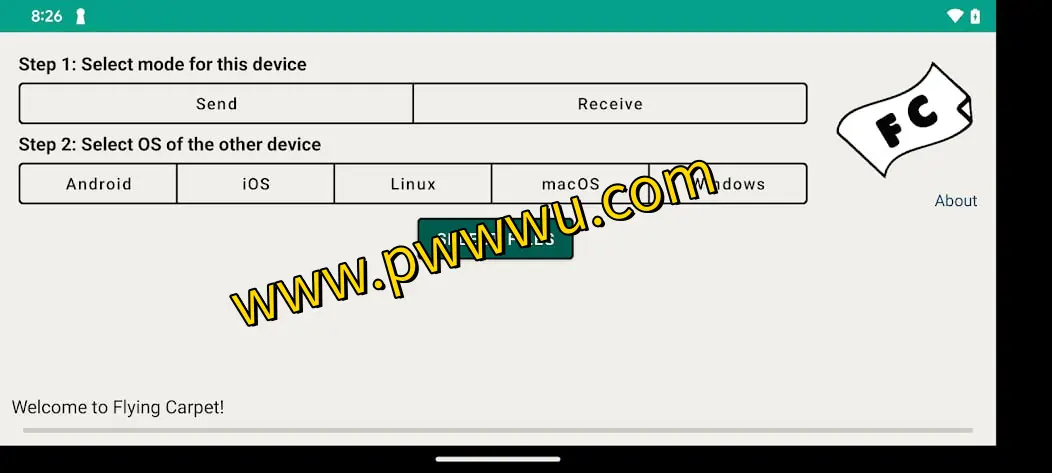 Flying Carpet：无需网络的跨平台大文件快速传输工具