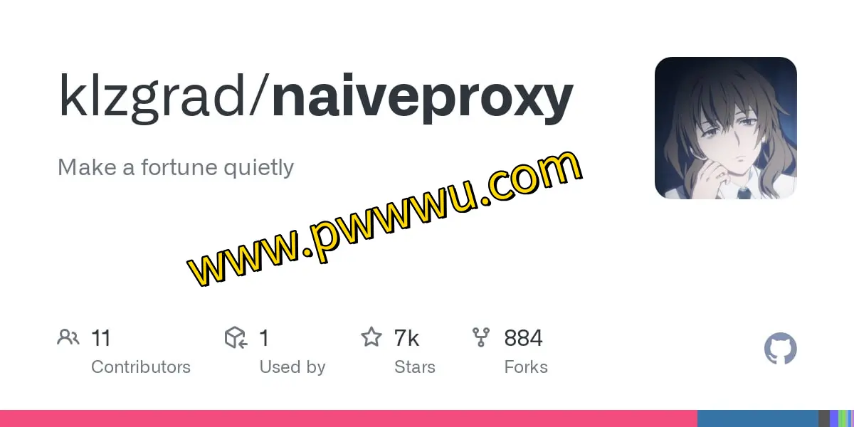 增强网络隐私与抗审查能力:NaïveProxy 代理工具深度解析与使用分享-泡玩网