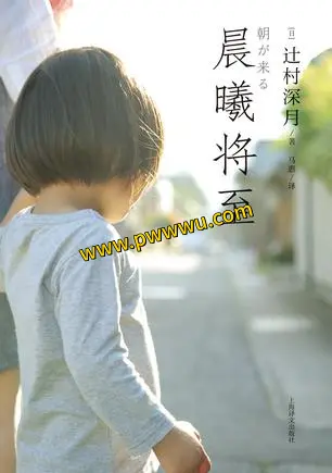 晨曦将至小说全文txtpdf精校版电子书下载-泡玩网