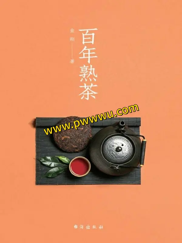 百年熟茶生活时尚电子书下载PDF全格式分享