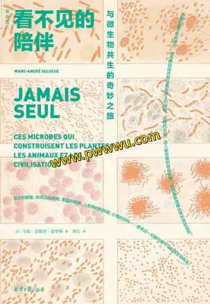 看不见的陪伴人文社科电子书PDF全格式分享