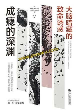 成瘾的深渊电子书下载PDF全格式分享